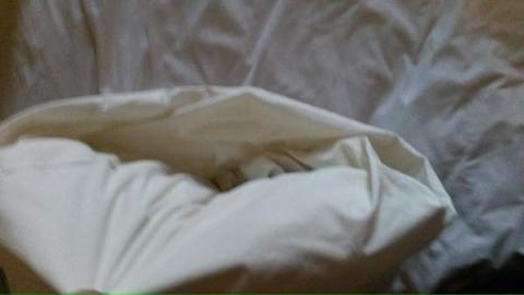 Bedding