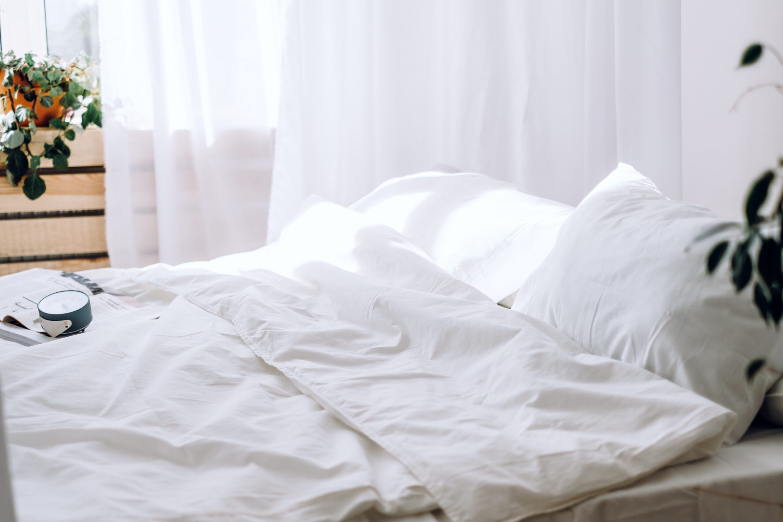comfortable bed with soft pillows and green plant 2024 12 02 12 09 56 utc scaled