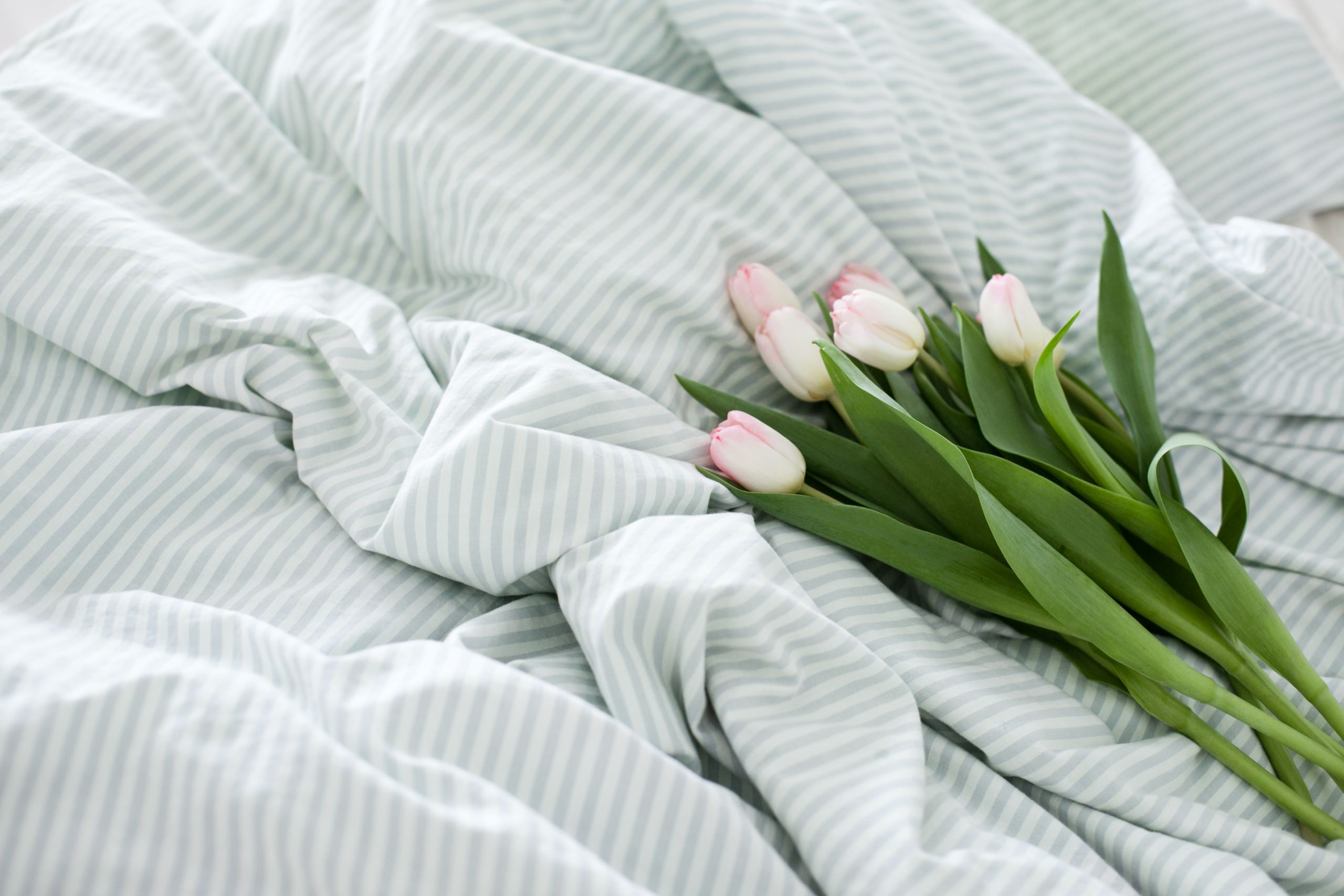 bouquet of pink tulips bed vibes good morning t 2025 01 08 10 36 43 utc