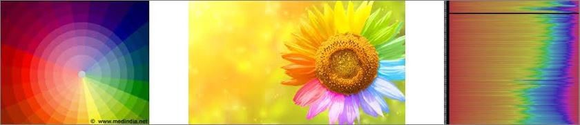 Colour Colour Colour 6 Colour colour 1