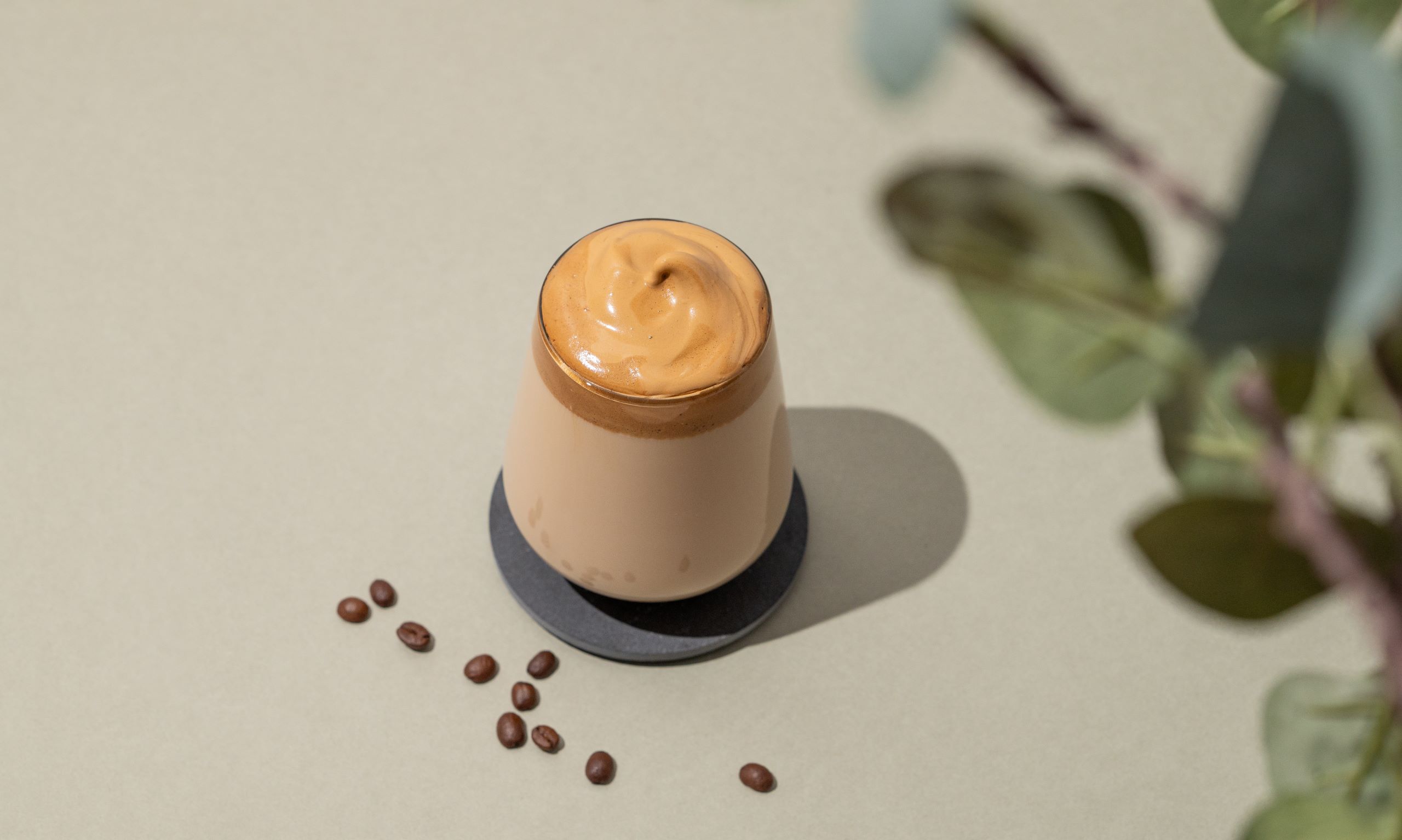 Mocha Mousse Is A Little Treat 6 dalgona coffee whipped instant vegan coffee in a 2024 12 06 00 25 18 utc